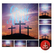 Come Alive Easter General 